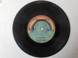 SULTAN GENÇ - ŞEHİT ASKER MUSTAFA'NIN NİŞANLISININ AĞITI / YAR OĞLAN OĞLAN  - Türkçe 45'lik Plak