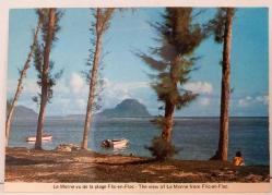 ŞEHİR KARTPOSTALI-MAURITIUS/ILE MAURICE ADASI,ARKASI YAZILMAMIŞ, RENKLİ, 12 X 16 CM EBADINDA - 1950'LER, 1960'LAR, 1970'LER, 1980'LER