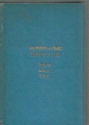 Muhasebe ve Finans Terimleri Sözlüğü (İngilizce - Almanca - Türkçe) - CİLTLİ
