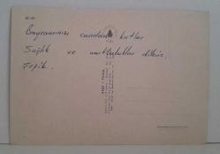 ORMAN NEHİR KÖPRÜ ÜZERİNDE YÜRÜYEN KOYUN VE DOĞA TEMALI KARTPOSTAL,ARKASI YAZILMIŞ, RENKLİ, 12 X 16 CM EBADINDA