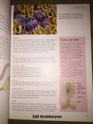 Your Pregnancy Week by Week - Practical Parenting - Hamlyn - Dame Karlene Davis - İngilizce Kitap (Hafta Hafta Hamileliğiniz)