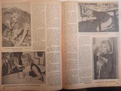 Artist Haftalık Ses Tiyatro ve Sinema Mecmuası Dergisi - 9 Ekim 1962 - Sayı:116 - Muhterem Nur - Cengizhan'ın Hazineleri Filmi - Kadir Savun - Cin Ali - Göksel Arsoy - Efgan Efekan - Ahmet Tarık Tekçe - Ekrem Bora - Öztürk Serengil - Muhterem Nur - Işık Kaan - Muzaffer Nebioğlu - Memduh Ün - Zeynep Değirmencioğlu - Belgin Doruk - Füsun Tekçe - Gönül Yazar - Özden Çelik - Filiz Akın - Suzan Avcı - Sevda Nur - Melih Başaran - Gani Turanlı - Orhan Günşiray - Orhan Erdamar - Fikret Uçak - Orhan Elmas - Tunca Aksoy - Ahmet Tarık Tekçe - Metin Erksan - Hayri Caner - Lale Oraloğlu - Suzan Avcı - Muhterem Nur - Reha Yurdakul - Sylvia Penses - Aysel Tanju - Avni Dillgil - Göksel Arsoy - Belgin Doruk - Kenan Pars - Merih Meral - Aysan Tümer - Evrim Fer - Yılmaz Duru - Nilüfer Aydan - Gençlik Hülyaları Filmi - Nilüfer Aydan - Pervin Par - Kenan Pars - Nuri Altınok - Öztürk Serengil fotoğraf ve haberi - Tam Takım Dergi