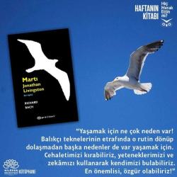 Martı Jonathan Livingston Richard Bach  EPSİLON YAYINEVİ