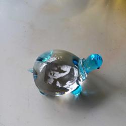 Cam Kaplumbağa Mavi,Pasabahçe