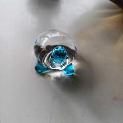 Cam Kaplumbağa Mavi,Pasabahçe