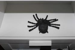 Büyük boy plastik örümcek