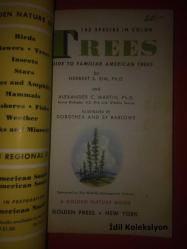 TREES : A Guide To Familiar American Trees - A Golden Nature Guide - Golden Press - Herbert S. Zım - Alexander C. Martin - İngilizce Kitap (AĞAÇLAR: Tanıdık Amerikan Ağaçları Rehberi)