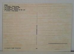 ŞEHİR KARTPOSTALI-İTALYA/ROMA KOLEZYUM GÖRÜNTÜSÜ GÜNDÜZ,ARKASINA YAZILMAMIŞ, RENKLİ, 12 X 16 CM EBADINDA - 1950'LER, 1960'LAR, 1970'LER, 1980'LER