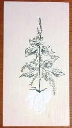 ''29 KASIM 1974 GÜNÜ 13'ÜNCÜ YAŞIMI KUTLUYORUM'' NOTLU DOĞUM GÜNÜ DAVETİYESİ, LEMİ KARABEY, ARKASI YAZILMAMIŞ, RENKLİ, 8 X 15 CM EBADINDA