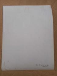 TÜRKAN ŞORAY'IN BÜYÜK BOY TIPKI BASIM FOTOĞRAFI - 23 x 17 cm EBADINDA - BURUK ACI FİLMİNDEN, TANJU GÜRSU İLE