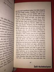 Das Unzerstörbare in meinem Leben - Hanna Reitsch - J.F. Lehmanns Verlag - Almanca Kitap (Hayatımdaki yıkılmaz şey)