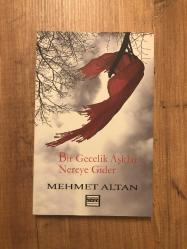 Bir Gecelik Aşklar Nereye Gider