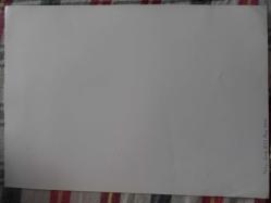 TÜRKAN ŞORAY'IN BÜYÜK BOY TIPKI BASIM FOTOĞRAFI - 29 x 21 cm EBADINDA - BULUT ARAS İLE