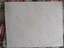 TÜRKAN ŞORAY'IN BÜYÜK BOY TIPKI BASIM FOTOĞRAFI - 25 x 20 cm EBADINDA - FOTOĞRAF KAĞIDINA BASKI