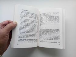 VİYANA ÖNLERİNDE KARA MUSTAFA PAŞA (2. EL)