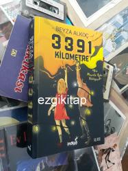 3391 kilometre - beyza alkoç