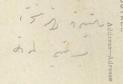 CAMİİ KAPISINDAN İÇERİYE BAKIŞ GÖRSEL FOTOĞRAF...