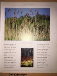 Discovering Turkey - Republic of Turkey Ministry of Culture and Tourism - Alan White - İngilizce Kitap (Türkiye'yi Keşfetmek)