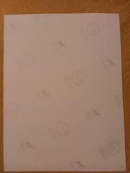 TÜRKAN ŞORAY'IN BÜYÜK BOY TIPKI BASIM FOTOĞRAFI - 24 x 18 cm EBADINDA - FOTOĞRAF KAĞIDINA NET BASKI - TANJU KOREL İLE