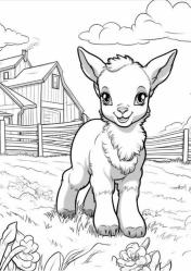 Köy Hayatı Boyama Kitap Seti (3 Süper Kitap)