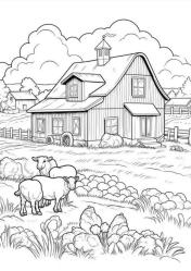 Köy Hayatı Boyama Kitap Seti (3 Süper Kitap)