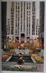 ŞEHİR KARTPOSTALI-ABD/NEW YORK ROCKEFELLER CENTER VE ÇİÇEKLİ BAHÇESİ GÜNDÜZ,ARKASINA YAZILMAMIŞ,RENKLİ, 10 X 14 CM EBADINDA - 1950'LER, 1960'LAR, 1970'LER, 1980'LER