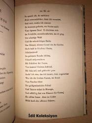 Gedichte - Friedrich Hölderlin - Im Insel Verlag - Almanca Kitap (Şiirler)