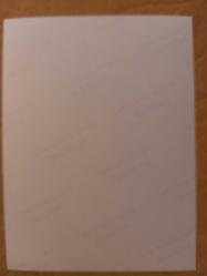 TÜRKAN ŞORAY'IN TIPKI BASIM FOTOĞRAFI - 20 x 15 cm EBADINDA - FOTOĞRAF KAĞIDINA BASKI, TANJU GÜRSU İLE BİR FİLM SAHNESİNDE