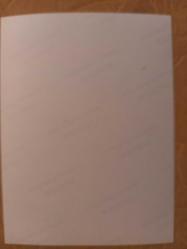 TÜRKAN ŞORAY'IN TIPKI BASIM FOTOĞRAFI - 20 x 15 cm EBADINDA - FOTOĞRAF KAĞIDINA BASKI, MURAT SOYDAN ve MUZAFFER TEMA İLE