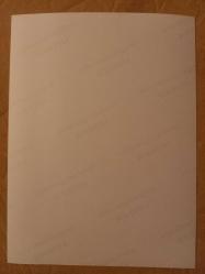 TÜRKAN ŞORAY'IN TIPKI BASIM FOTOĞRAFI - 20 x 15 cm EBADINDA - FOTOĞRAF KAĞIDINA BASKI, TANJU GÜRSU İLE BİR FİLM SAHNESİNDE