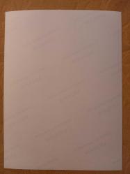 TÜRKAN ŞORAY'IN TIPKI BASIM FOTOĞRAFI - 20 x 15 cm EBADINDA - FOTOĞRAF KAĞIDINA BASKI