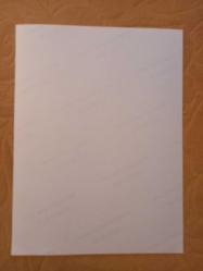 TÜRKAN ŞORAY'IN BÜYÜK BOY TIPKI BASIM FOTOĞRAFI - 23 x 18 cm EBADINDA - FOTOĞRAF KAĞIDINA BASKI, ALİYE RONA İLE