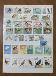 36 Çeşit Kuş Pulu