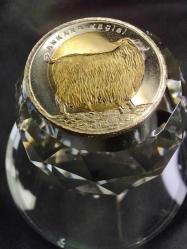 PARA HATIRA PARASI ''ANKARA KEÇİSİ'' 1 TÜRK LİRASI ÖZEL ZARFINDA VE ÇİZİKSİZ  ÇİLLLL  PARADIR   (Anadolu'ya özgü hayvan serisi Hatıra para koleksiyon) 885