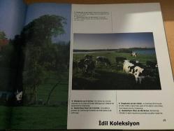 Deutschland - Allemagne - Germany - Horst Krüger - Stürtz Verlag (Almanca , Fransızca , İngilizce)