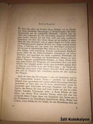 Effi Briest - Theodor Fontane - A.J. Walter Verlag - Almanca Kitap (Hafif Yıpranmalar Mevcut)