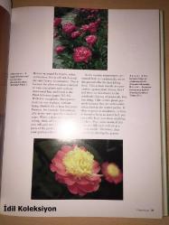 The Natural Garden - Ken Druse - Clarkson N. Potter Publishers - İngilizce Kitap (Doğal Bahçe)