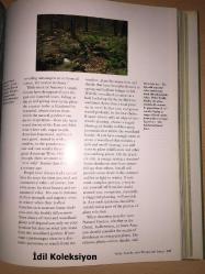 The Natural Garden - Ken Druse - Clarkson N. Potter Publishers - İngilizce Kitap (Doğal Bahçe)