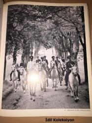 Ein Leben für die Lipizzaner - Alois Podhajsky - Nymphenburger Verlagshandlung - Almanca Kitap (Lipizzanlılar için bir hayat)