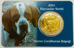 Hayvanlar Serisi 2021..Tarsus Çatal Burun..