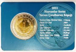 Hayvanlar Serisi 2021..Tarsus Çatal Burun..