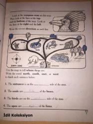 MAP Skills - A Scholastic Skills Book - Barbara Christesen - Scholastic - İngilizce Kitap (Akademik Beceriler Kitabı)