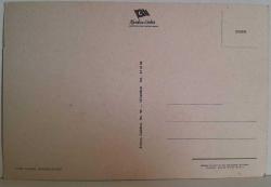 KARLI DAĞLAR DOĞA ÇİÇEK VE YERLEŞİM YERİ RESMİ KARTPOSTALI,ARKASINA YAZILMAMIŞ,RENKLİ, 11 X 15 CM EBADINDA