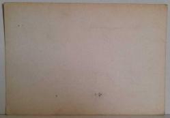 KASABA İÇİNDEKİ ESKİ EV VE ÖNÜNDE İŞ YAPAN KADIN RESMİ KARTPOSTALI,ARKASINA YAZILMAMIŞ,RENKLİ, 11 X 15 CM EBADINDA