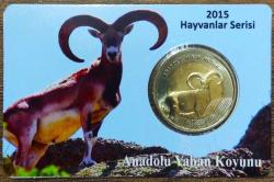 2015 ANADOLU KOYUNU DARPHANE HATIRA PARASI..