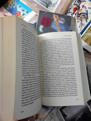 insan beyni - robert winston