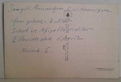 DOĞA İÇİNDE EV ÇİÇEK AÇMIŞ AĞACLAR VE NEHİR RESMİ KARTPOSTALI,ARKASINA YAZILMIŞ,RENKLİ, 11 X 15 CM EBADINDA