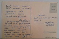 KAHVERENGİ ARKAPLANDA EV VE ÖNÜNDEKİ EŞEKLERİN RESMİ KARTPOSTALI,ARKASINA YAZILMIŞ,RENKLİ, 11 X 15 CM EBADINDA