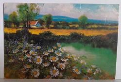 GÖL KENARINDA PAPATYA ÇİÇEKLERİ KIRSALDA EVLER RESMİ KARTPOSTALI,PULLU,ARKASINA YAZILMIŞ,RENKLİ, 12 X 16 CM EBADINDA