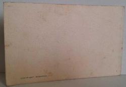 GÜL NAL VE BARIŞIN TEMSİLCİSİ BEYAZ GÜVERCİN RESMİ KARTPOSTALI,KAPAKLI,ARKASINA YAZILMIŞ,RENKLİ, 10 X 14 CM EBADINDA